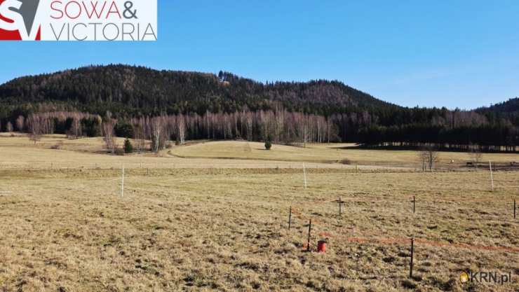 Chełmsko Śląskie, ul. , , Działki  na sprzedaż