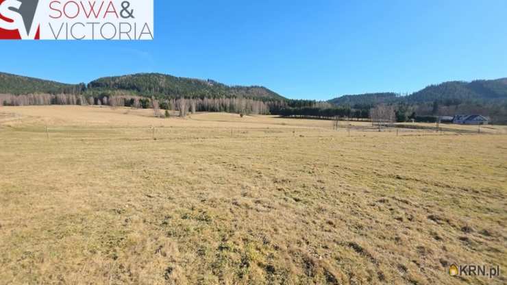 , Chełmsko Śląskie, ul. , Działki  na sprzedaż