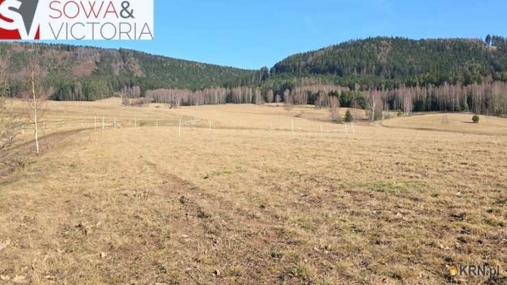 , Działki  na sprzedaż, Chełmsko Śląskie, ul. 