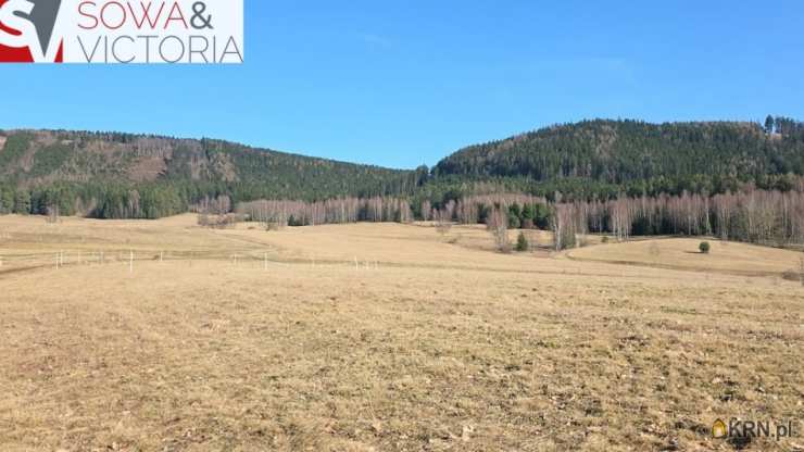 Biuro Nieruchomości SOWA, Działki  na sprzedaż, Chełmsko Śląskie, ul. 