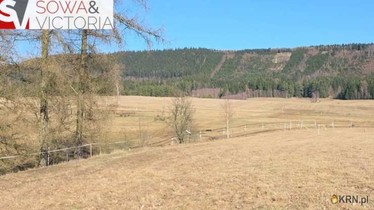 Działki  na sprzedaż, Chełmsko Śląskie, ul. , 