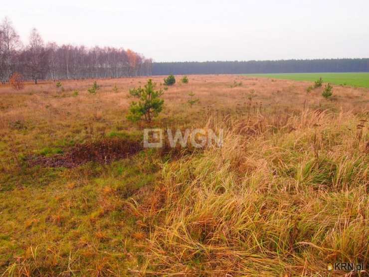 Działki  na sprzedaż, Sobin, ul. , 