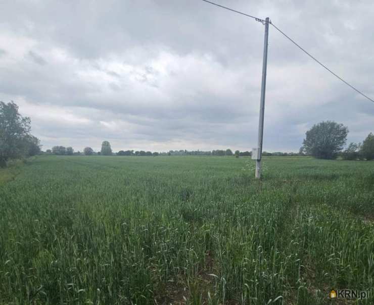 Działki  na sprzedaż, Markusy, ul. , 
