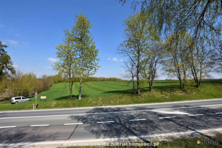 Orłów, ul. , , Działki  na sprzedaż