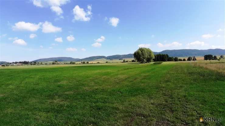 Działki  na sprzedaż, Golińsk, ul. , 