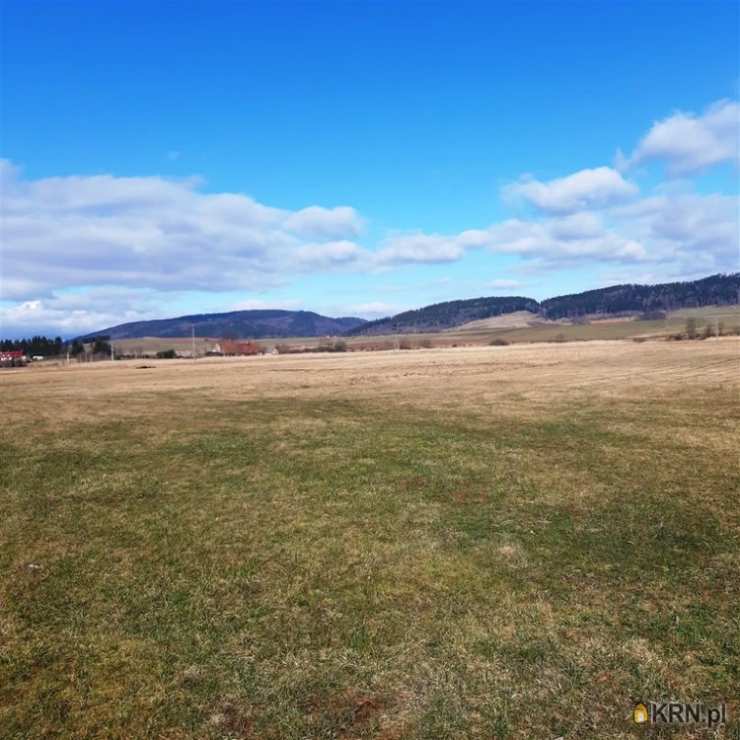 Działki  na sprzedaż, , Golińsk, ul. 