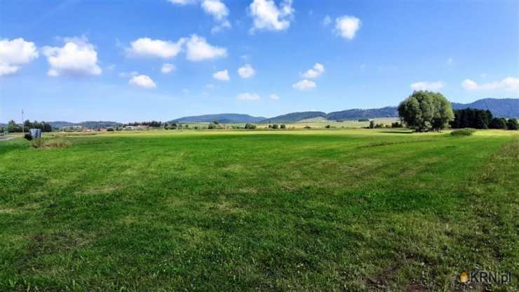 Golińsk, ul. , Działki  na sprzedaż, 