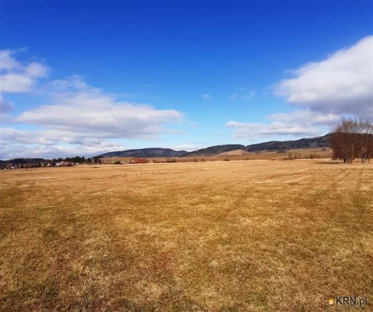 Golińsk, ul. , , Działki  na sprzedaż