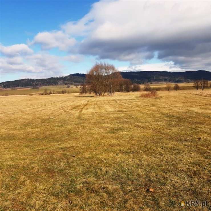 , Golińsk, ul. , Działki  na sprzedaż