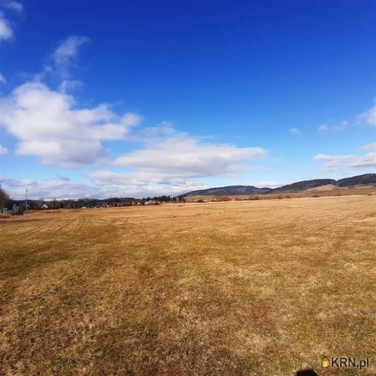 , Działki  na sprzedaż, Golińsk, ul. 