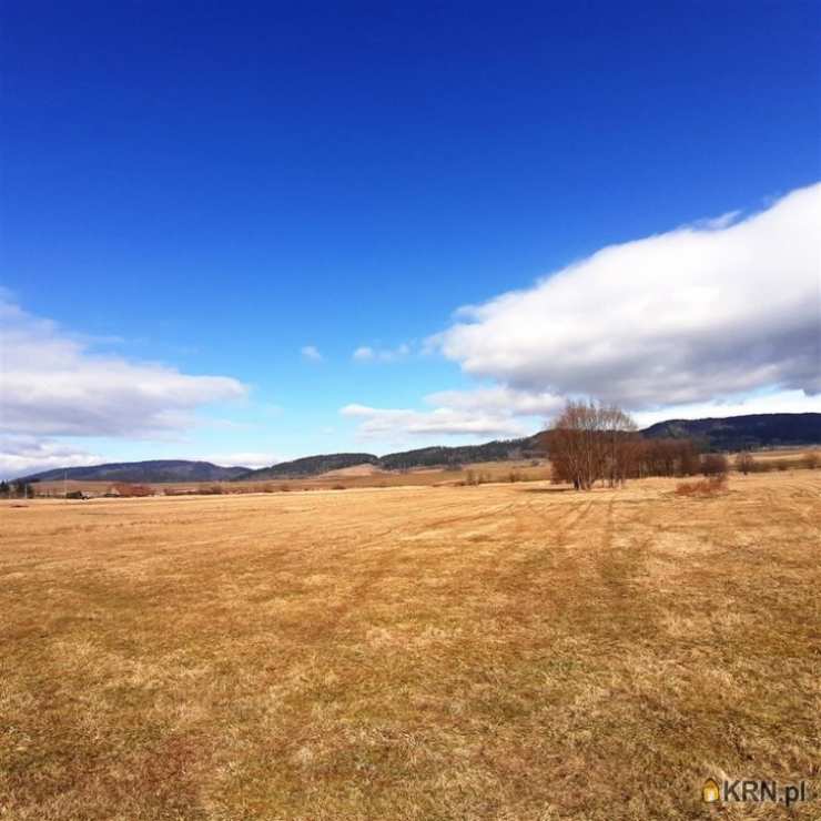 Biuro Nieruchomości SOWA, Działki  na sprzedaż, Golińsk, ul. 