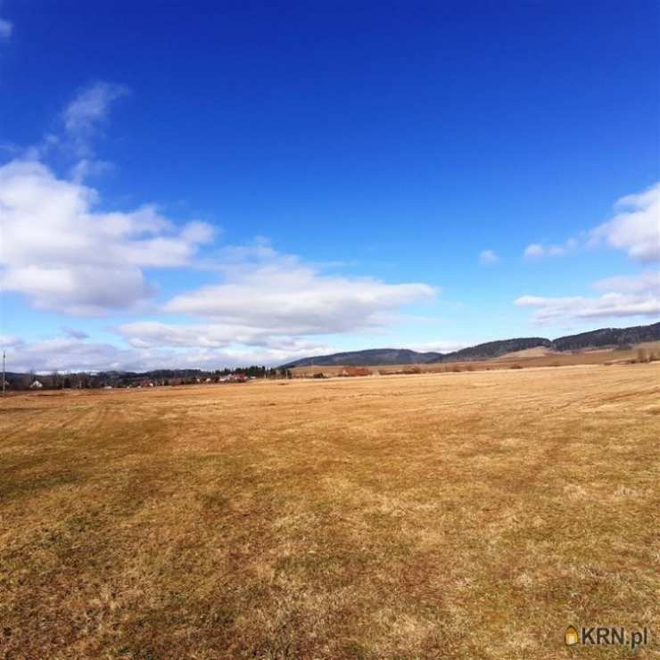 Działki  na sprzedaż, Golińsk, ul. , 