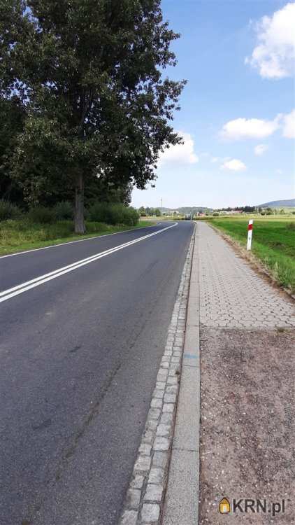 Działki  na sprzedaż, , Golińsk, ul. 