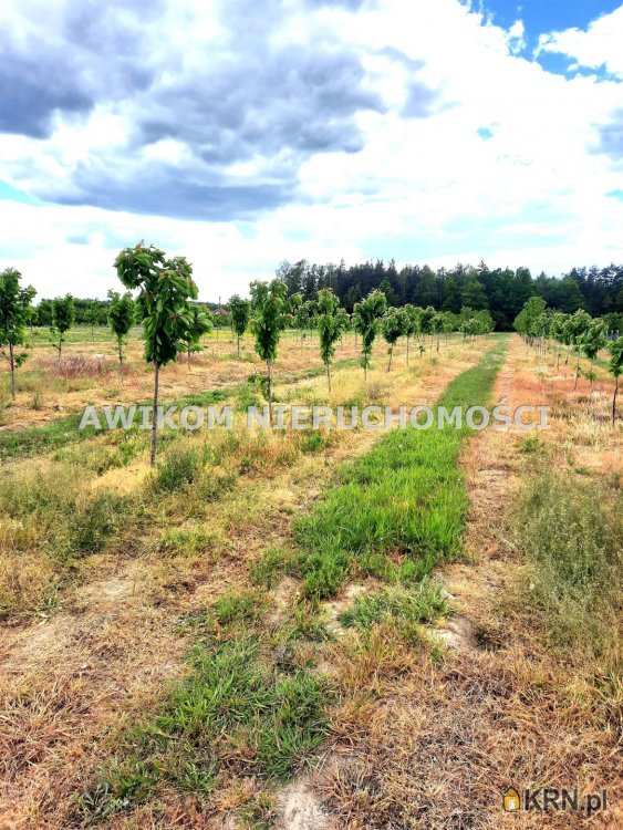 Działki  na sprzedaż, Kornelówka, ul. , 