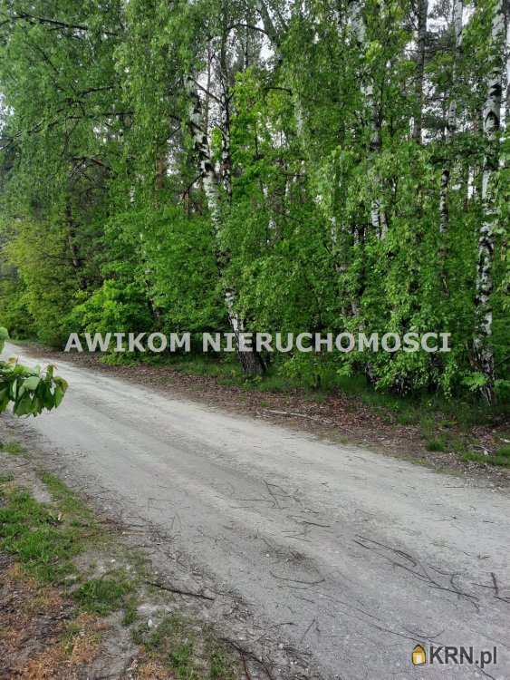 Kornelówka, ul. , Działki  na sprzedaż, 