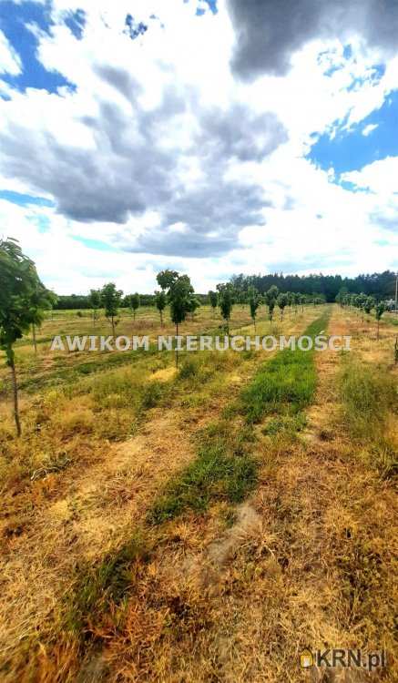 Działki  na sprzedaż, , Kornelówka, ul. 