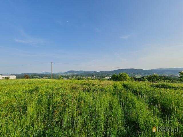 Borzęta, ul. , Działki  na sprzedaż, 