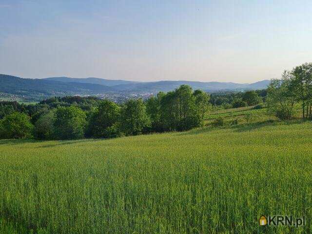 , Borzęta, ul. , Działki  na sprzedaż