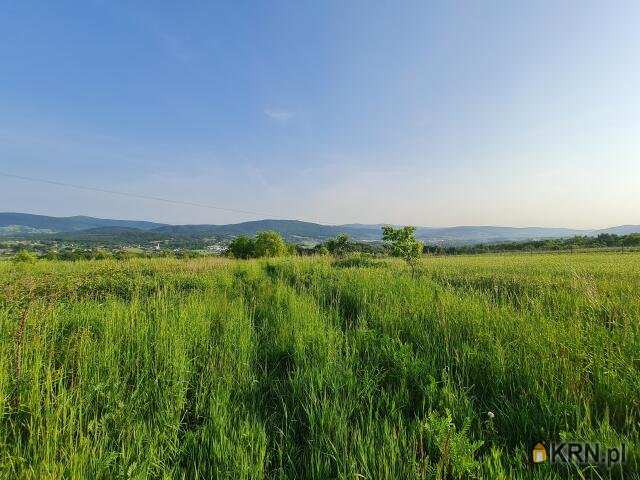 , Działki  na sprzedaż, Borzęta, ul. 