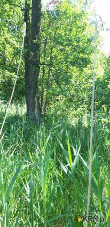 Działki  na sprzedaż, , Stręgielek, ul. 