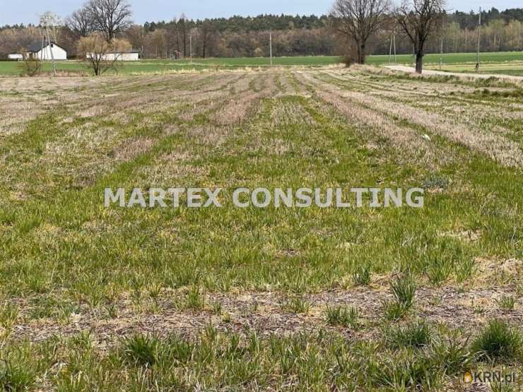 Działki  na sprzedaż, Wielowieś, ul. , 