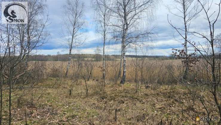 Działki  na sprzedaż, Przeginia Narodowa, ul. , 