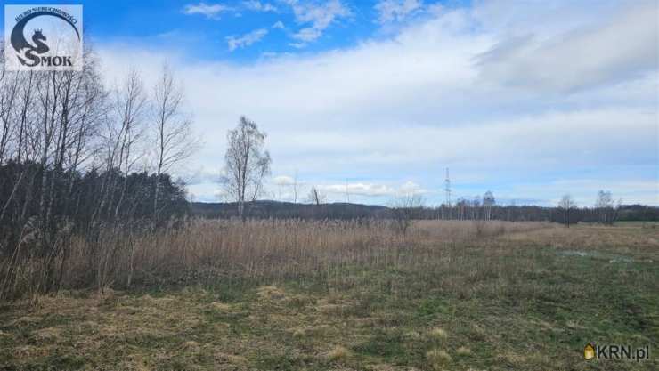 Przeginia Narodowa, ul. , , Działki  na sprzedaż