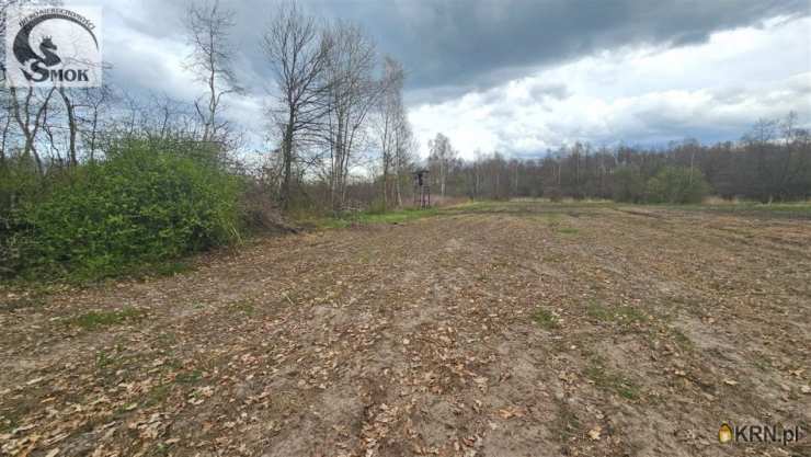 , Przeginia Narodowa, ul. , Działki  na sprzedaż