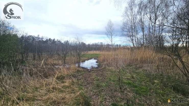 , Działki  na sprzedaż, Przeginia Narodowa, ul. 