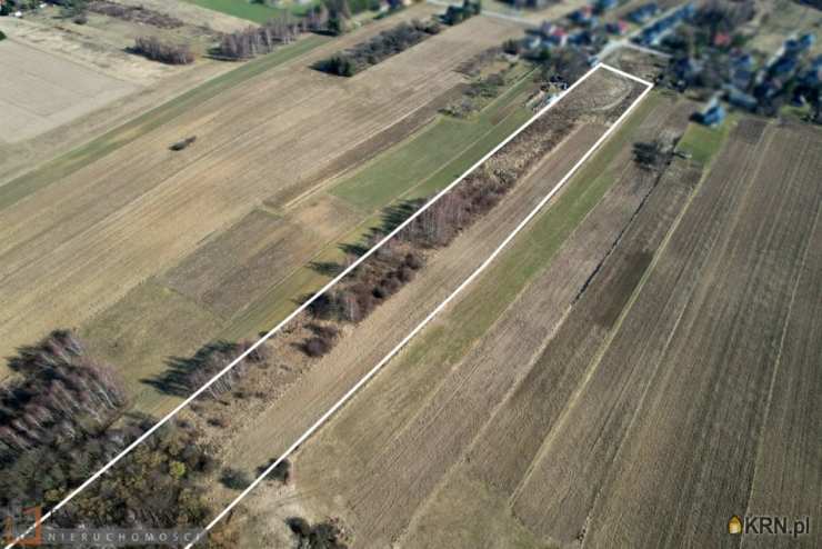 PACANOWSCY NIERUCHOMOŚCI, Działki  na sprzedaż, Bębło, ul. 