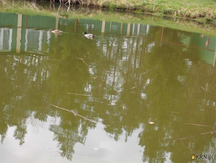 , Terespotockie, ul. , Działki  na sprzedaż