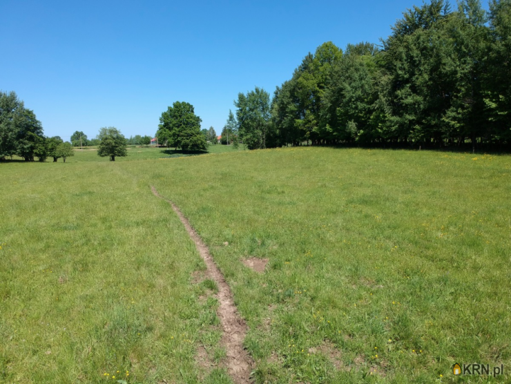 gm. Milejewo, ul. , , Działki  na sprzedaż