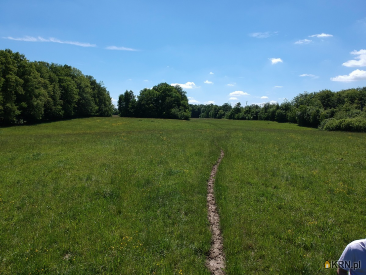 , gm. Milejewo, ul. , Działki  na sprzedaż