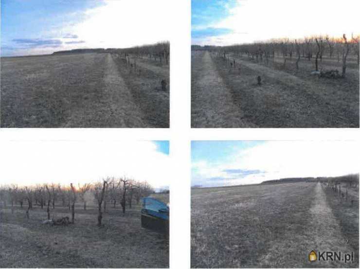 Działki  na sprzedaż, Wojciechów, ul. , 