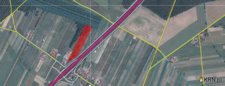 Działki  na sprzedaż, Głuchy, ul. , 