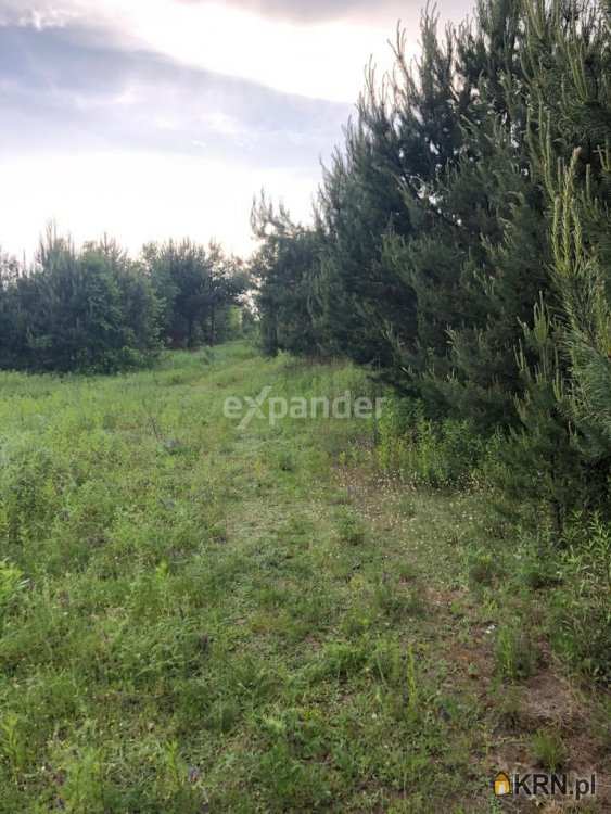 Działki  na sprzedaż, Błędowo, ul. , 