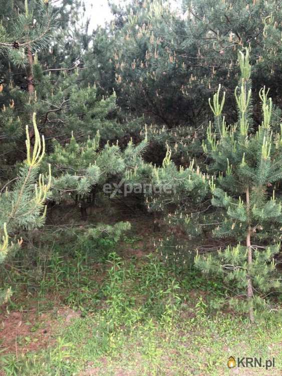 Błędowo, ul. , Działki  na sprzedaż, 