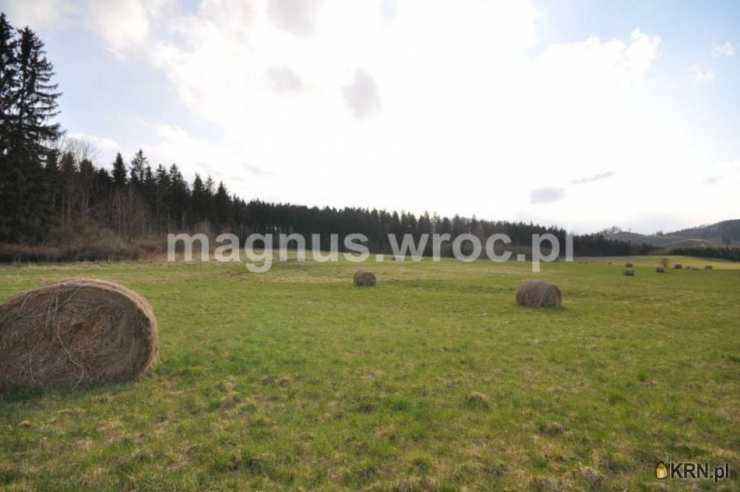 Działki  na sprzedaż, Boguszów-Gorce, ul. , 