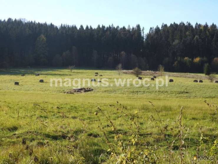 , Boguszów-Gorce, ul. , Działki  na sprzedaż