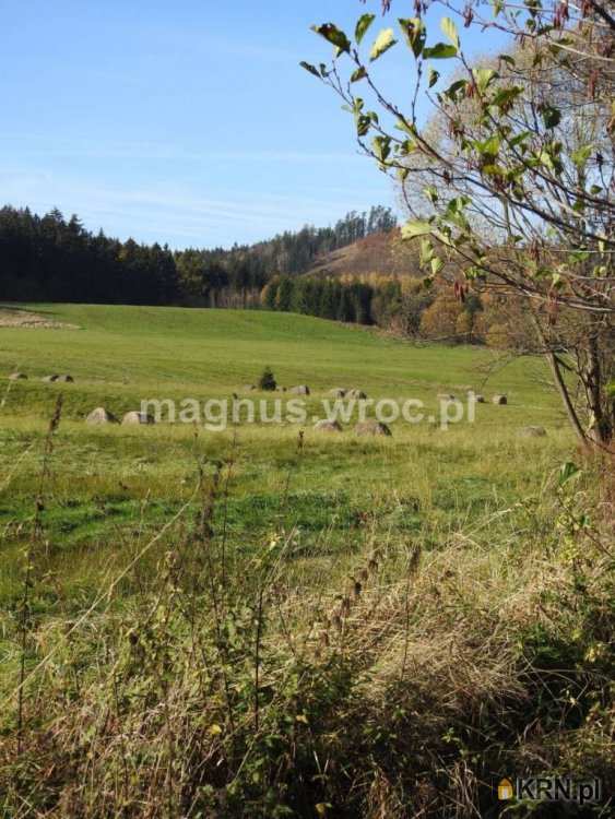 , Działki  na sprzedaż, Boguszów-Gorce, ul. 