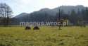 Działki na sprzedaż, Boguszów-Gorce