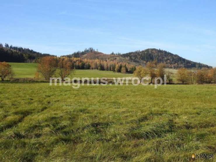 Boguszów-Gorce, ul. , , Działki  na sprzedaż