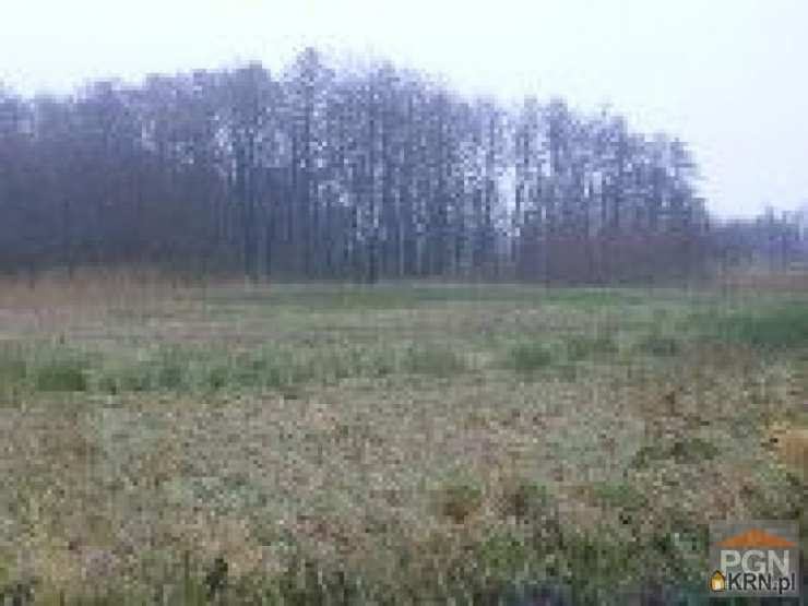 Chrząszczewo, ul. , Działki  na sprzedaż, 