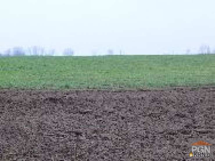 Chrząszczewo, ul. , , Działki  na sprzedaż