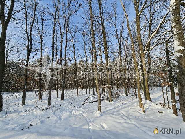 Dąbrowa Chotomowska, ul. , Działki  na sprzedaż, 