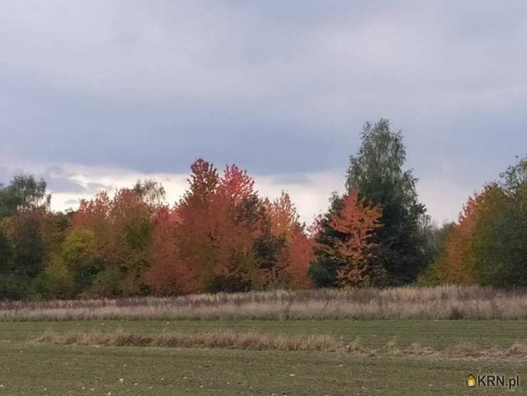 Kozłówka, ul. , Działki  na sprzedaż, 