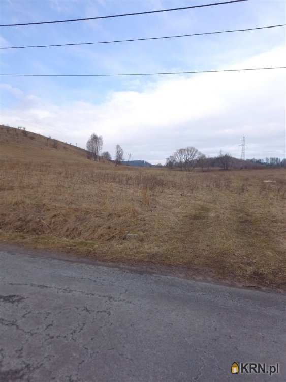 Działki  na sprzedaż, Mieroszów, ul. , 