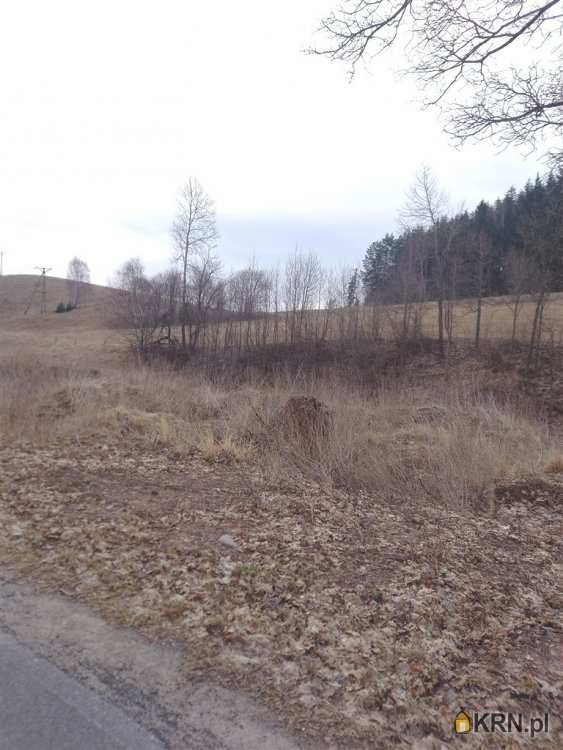 Działki  na sprzedaż, , Mieroszów, ul. 