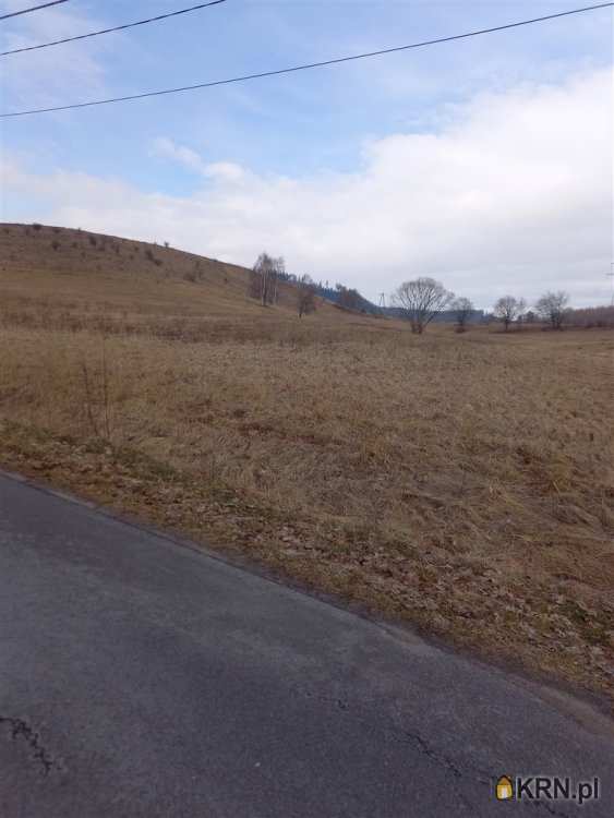 Działki  na sprzedaż, Mieroszów, ul. , 