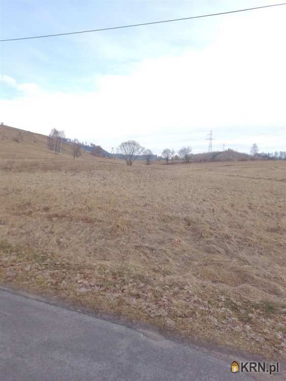 Działki  na sprzedaż, , Mieroszów, ul. 